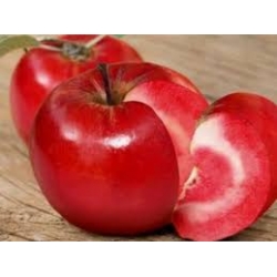 İÇİ DIŞI KIRMIZI ELMA